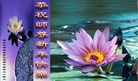 ֹ,ʡ󷨵ӹףʦã119 - ִ

