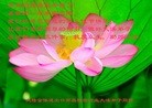 Published on 1/23/2012 ֹ,½ҵ󷨵ӹףʦ֣214 - ִ
