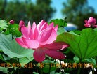 ֹ,󷨵ӹףʦ֣148 - ִ
