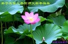 ֹ,󷨵ӹףʦ֣162 - ִ
