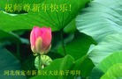 ֹ,󷨵ӹףʦ֣148 - ִ

