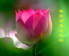 ֹ,󷨵ӹףʦ֣148 - ִ
