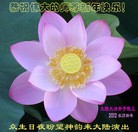 Published on 1/23/2012 ֹ,½󷨵ӹףʦã177 - ִ
