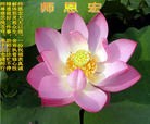 Published on 1/23/2012 ֹ,½󷨵ӹףʦã172 - ִ
