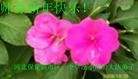 ֹ,󷨵ӹףʦ֣148 - ִ

