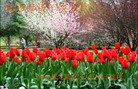 ֹ,󷨵ӹףʦ֣148 - ִ
