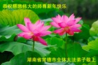 ֹ,д󷨵ӹףʦã155 - ִ
