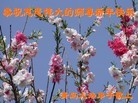 Published on 1/23/2012 ֹ,½󷨵ӹףʦã172 - ִ
