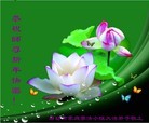 Published on 1/22/2012 ֹ,½󷨵ӹףʦã156 - ִ
