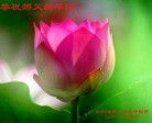 Published on 1/23/2012 ֹ,½ҵ󷨵ӹףʦ֣214 - ִ
