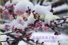 Published on 1/22/2012 ֹ,½󷨵ӹףʦã156 - ִ
