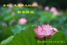 ֹ,д󷨵ӹףʦã155 - ִ
