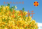 Published on 1/23/2012 ֹ,½󷨵ӹףʦã183 - ִ
