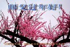 Published on 1/22/2012 ֹ,½󷨵ӹףʦã214 - ִ
