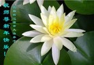 Published on 1/23/2012 ֹ,½󷨵ӹףʦã183 - ִ
