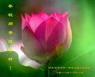 Published on 1/22/2012 ֹ,½󷨵ӹףʦã123 - ִ
