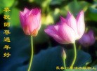 ֹ,󷨵ӹףʦ(22)

