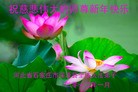Published on 1/22/2012 ֹ,½󷨵ӹףʦã214 - ִ
