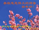 Published on 1/23/2012 ֹ,½󷨵ӹףʦã95 - ִ
