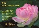 Published on 1/23/2012 ֹ,½󷨵ӹףʦã95 - ִ
