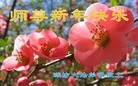 Published on 1/23/2012 ֹ,½󷨵ӹףʦã95 - ִ
