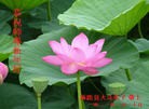 Published on 1/22/2012 ֹ,½󷨵ӹףʦã123 - ִ
