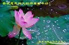 Published on 1/22/2012 ֹ,½󷨵ӹףʦã123 - ִ
