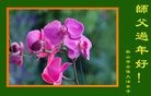 Published on 1/22/2012 ֹ,½󷨵ӹףʦã123 - ִ
