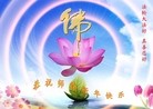 Published on 1/23/2012 ֹ,½󷨵ӹףʦã95 - ִ
