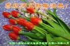 Published on 1/22/2012 ֹ,½󷨵ӹףʦã123 - ִ
