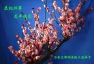 Published on 1/23/2012 ֹ,½ҵ󷨵ӹףʦ֣214 - ִ
