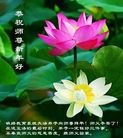 Published on 1/23/2012 ֹ,½󷨵ӹףʦã90 - ִ
