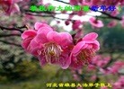 Published on 1/23/2012 ֹ,½󷨵ӹףʦã90 - ִ
