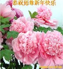 Published on 1/24/2012 ֹ,½󷨵ӹףʦã150 - ִ
