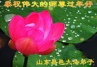 Published on 1/24/2012 ֹ,½󷨵ӹףʦã132 - ִ
