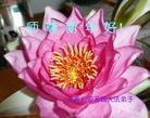 Published on 1/24/2012 ֹ,½󷨵ӹףʦã163 - ִ
