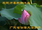 Published on 1/24/2012 ֹ,½󷨵ӹףʦã163 - ִ
