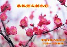 Published on 1/24/2012 ֹ,½󷨵ӹףʦã271 - ִ
