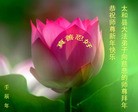 Published on 1/24/2012 ֹ,½󷨵ӹףʦã271 - ִ
