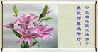 Published on 1/24/2012 ֹ,½󷨵ӹףʦã271 - ִ

