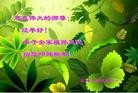 Published on 1/24/2012 ֹ,½󷨵ӹףʦã271 - ִ
