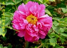 Published on 1/24/2012 ֹ,½󷨵ӹףʦã271 - ִ
