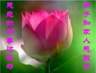 Published on 1/24/2012 ֹ,½󷨵ӹףʦã150 - ִ
