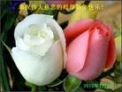 Published on 1/23/2012 ֹ,½󷨵ӹףʦã90 - ִ
