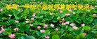 Published on 1/23/2012 ֹ,½󷨵ӹףʦã90 - ִ
