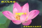 Published on 1/23/2012 ֹ,½󷨵ӹףʦã90 - ִ
