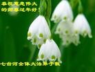 Published on 1/24/2012 ֹ,½󷨵ӹףʦã132 - ִ
