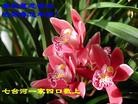 Published on 1/24/2012 ֹ,½󷨵ӹףʦã132 - ִ
