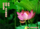 Published on 1/24/2012 ֹ,½󷨵ӹףʦã132 - ִ
