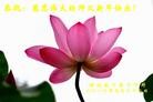 Published on 1/24/2012 ֹ,½󷨵ӹףʦã163 - ִ
